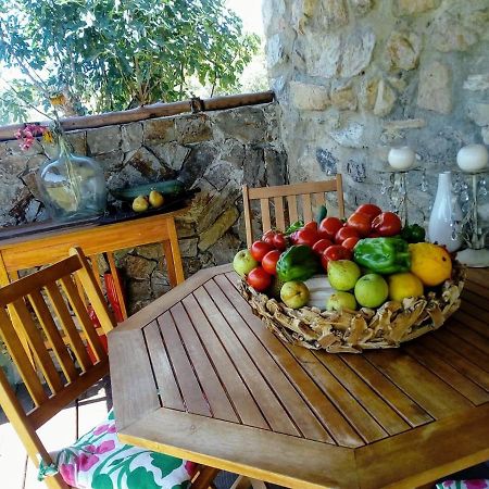 Casa Do Trapo Hotel Sardoal ภายนอก รูปภาพ