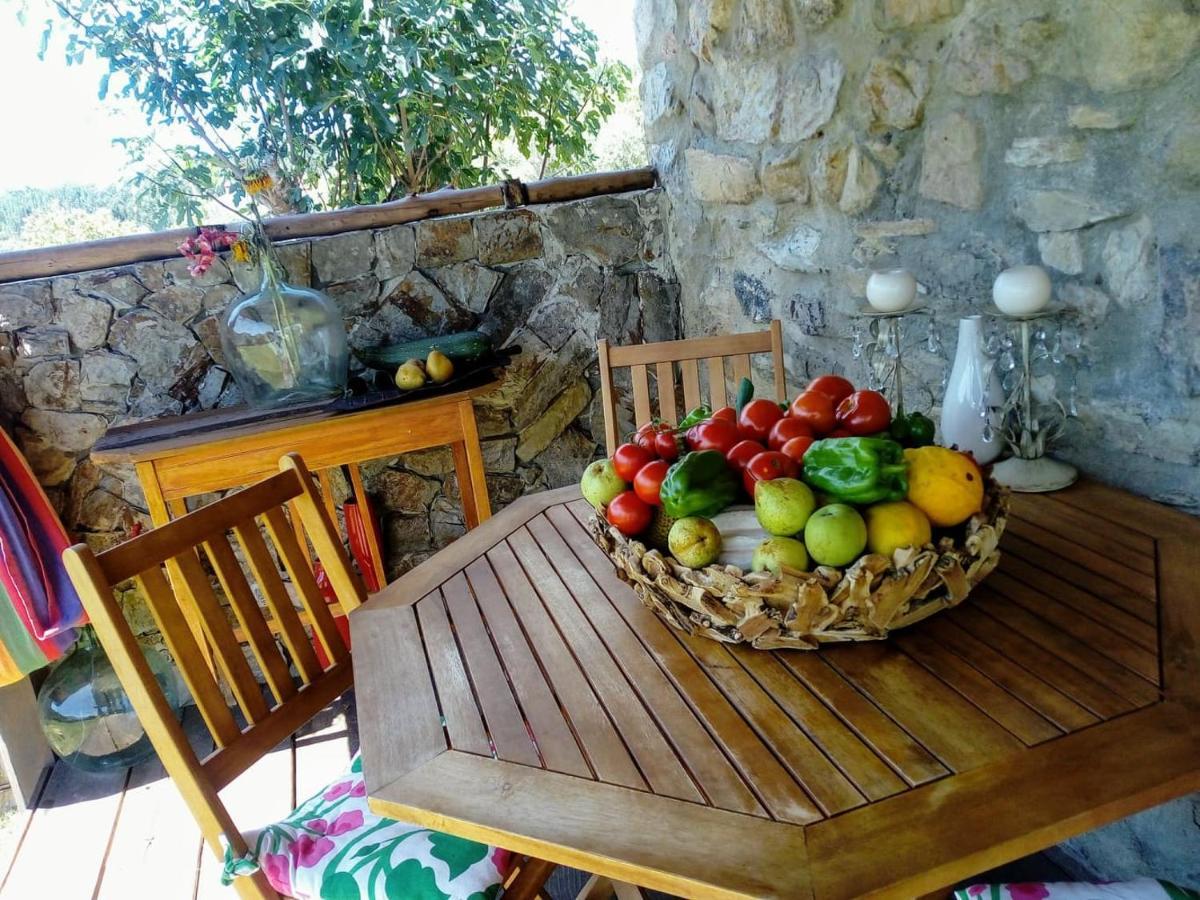 Casa Do Trapo Hotel Sardoal ภายนอก รูปภาพ