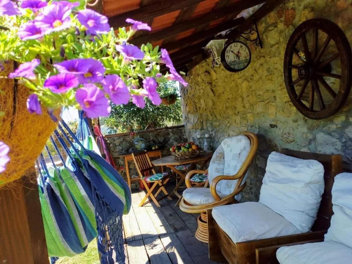 Casa Do Trapo Hotel Sardoal ภายนอก รูปภาพ